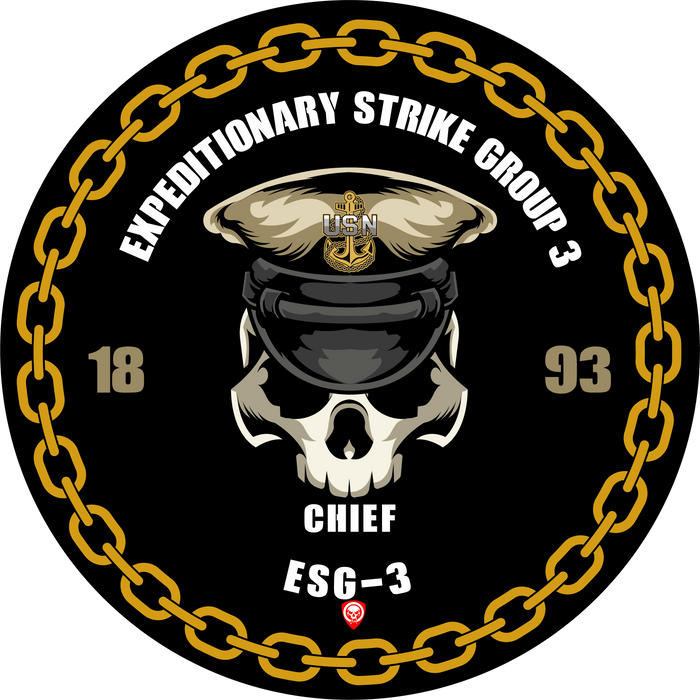 Expeditionary Strike Group 3 ESG-3 NB San Diego CA US Navy Chief 5 Inch Military Decal - Prints54.com