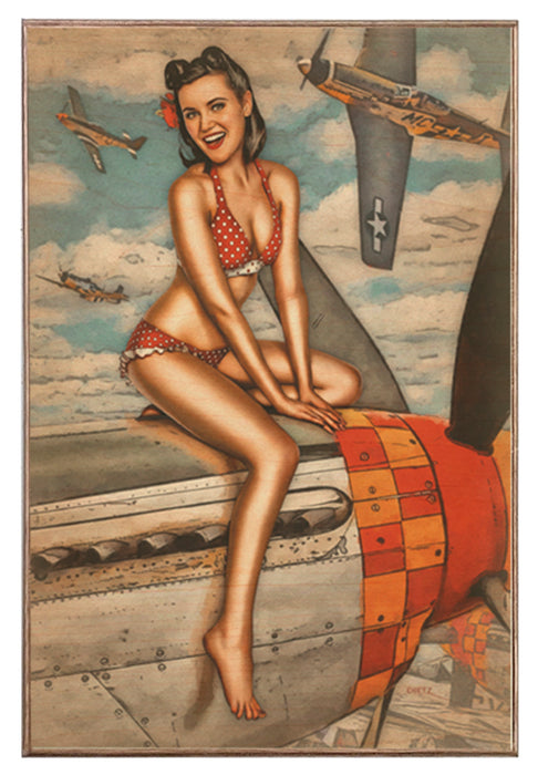 USAF Mustang A Better View WW2 Pinup Girl Art Art Rendering - Prints54.com