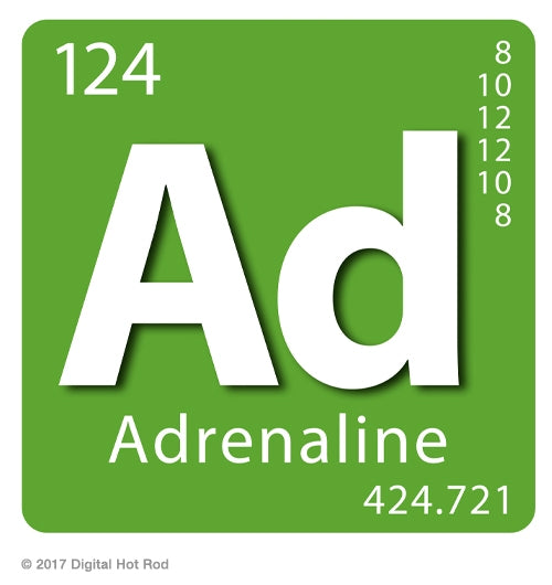 Adrenaline Art Rendering - Prints54.com