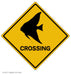 Angel Fish Crossing Art Rendering - Prints54.com