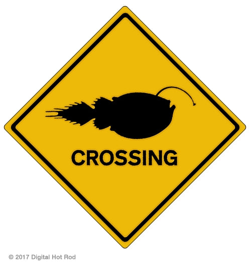 Angler Fish Crossing Art Rendering - Prints54.com