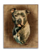 Bluenose Pittbull Portrait Art Rendering - Prints54.com