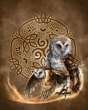 Celtic Owl Art Rendering - Prints54.com