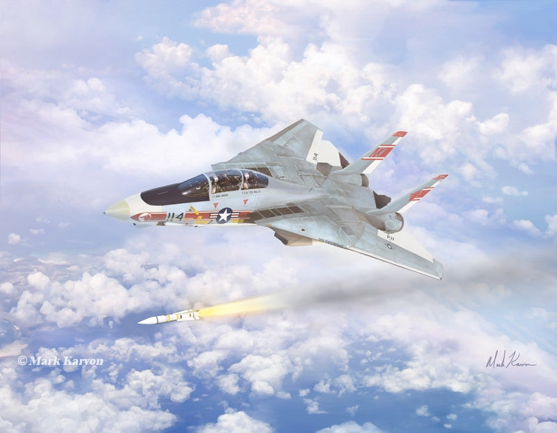 F-14 Tomcat VF-1 - Prints54.com