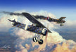 Fokker DVIII Art Rendering - Prints54.com