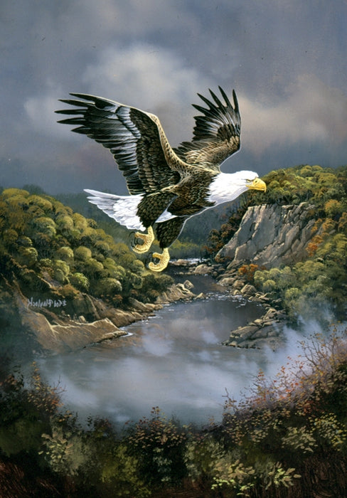 Franklin Eagle Art Rendering - Prints54.com