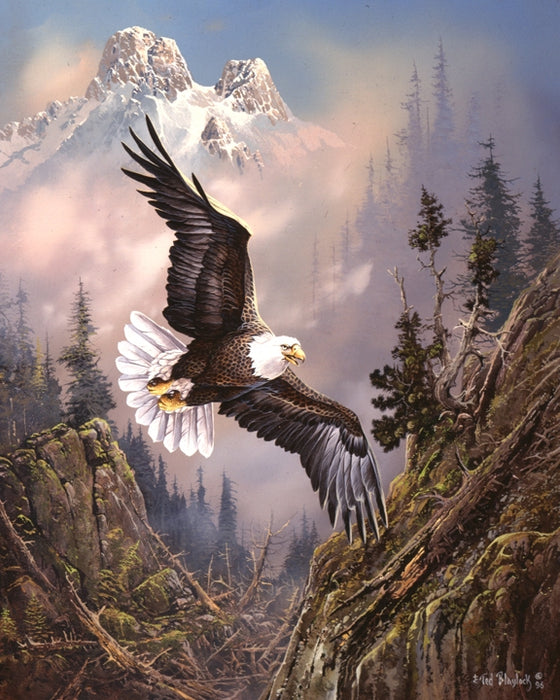 Franklin Eagle in the Mountains Art Rendering - Prints54.com