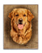 Golden Retreiver Portrait Art Rendering - Prints54.com