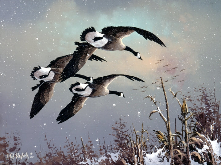 Honkers in the Snow Art Rendering - Prints54.com