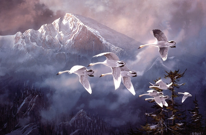 Longs Peak Trumpeters Art Rendering - Prints54.com