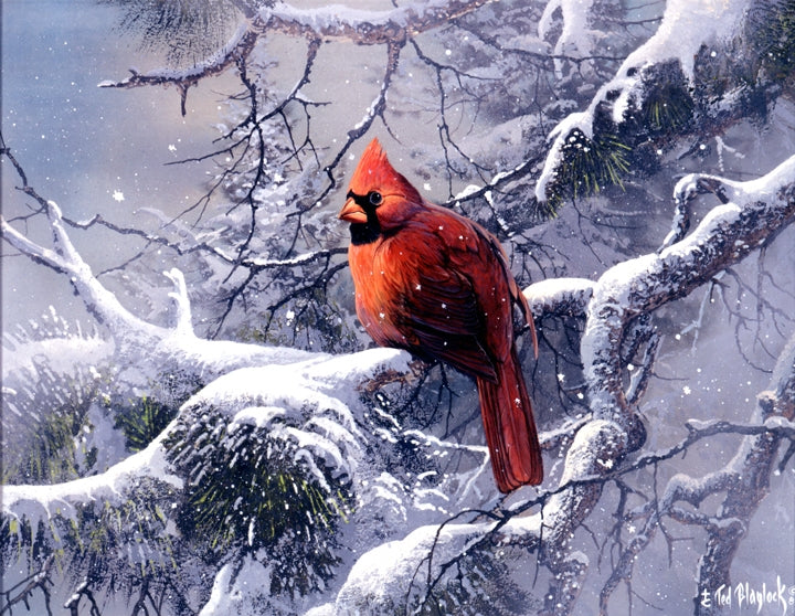 Male Cardinal Art Rendering - Prints54.com