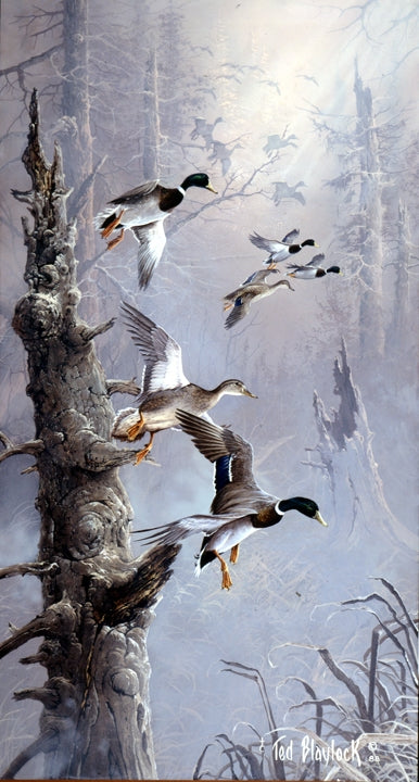 Mallards in the Tree Tops Art Rendering - Prints54.com