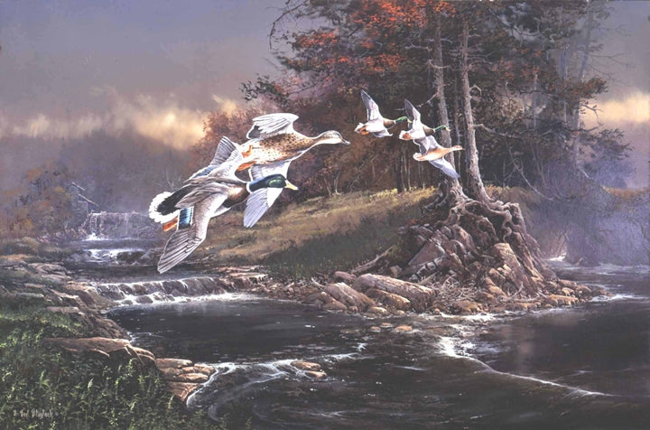 Mallards on Otter Creek Art Rendering - Prints54.com