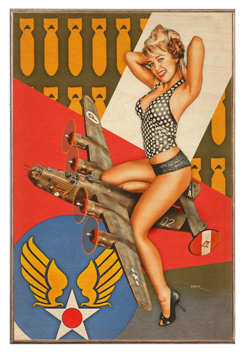 Miss Liberator WW 2 Bomber Pin-Up Girl Art Rendering - Prints54.com