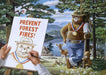 Smokey The Bear Nature's Gold Medal Hero Art Rendering - Prints54.com