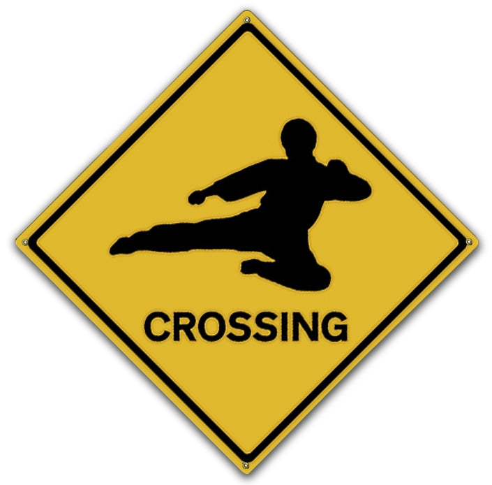 Ninja Crossing Martial Arts Road Art Rendering - Prints54.com