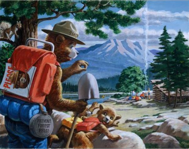 Smokey The Bear Forest Campfire Wilderness Art Rendering - Prints54.com