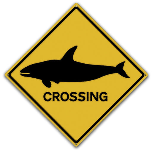 Orca Crossing Art Rendering - Prints54.com