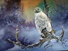 Winter Owl Wilderness Bird Of Prey Art Rendering - Prints54.com