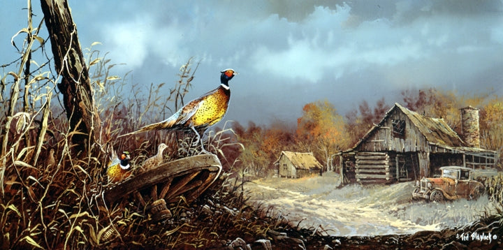 Pheasants with Roadster Art Rendering - Prints54.com