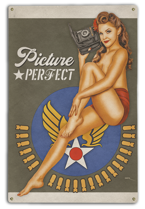 Picture Perfect Combat Camera Pin-Up Girl Art Rendering - Prints54.com