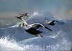 Rough Riding Eiders Art Rendering - Prints54.com