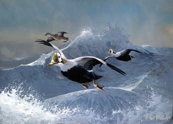 Rough Riding Eiders Art Rendering - Prints54.com