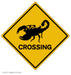 Scorpion Crossing Art Rendering - Prints54.com