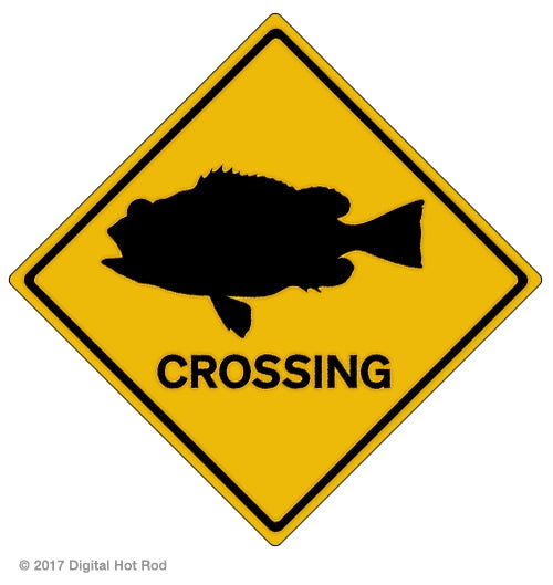 Sea Bass Crossing Art Rendering - Prints54.com