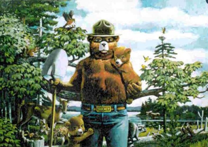 Smokey Says...Prevent Wildfires Art Rendering - Prints54.com