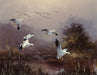 Snow Geese at Jake's Place Art Rendering - Prints54.com