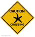 Starfish Crossing Art Rendering - Prints54.com