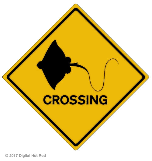 Stingray Crossing Art Rendering - Prints54.com