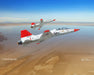 T-38 Talon Art Rendering - Prints54.com