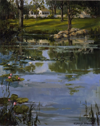 The Lilly Pond Solitude Art Rendering - Prints54.com