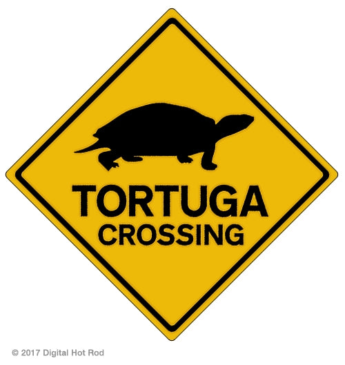 Tortuga Crossing Art Rendering - Prints54.com