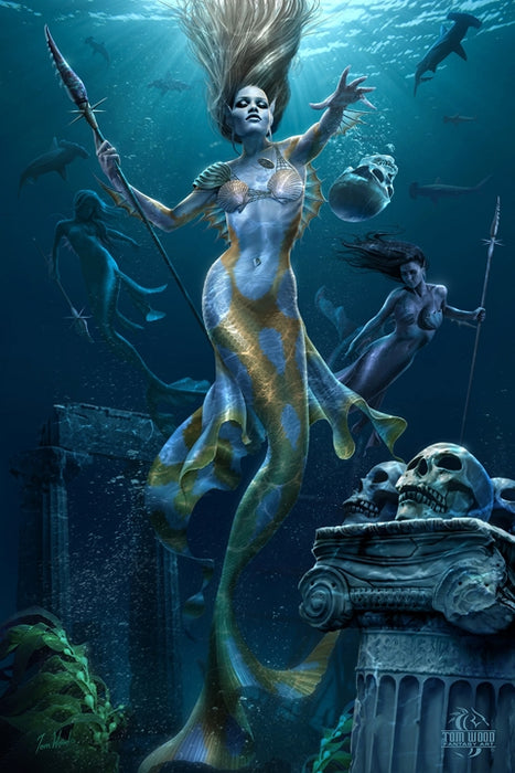 Mermaid Hunt Art Rendering - Prints54.com