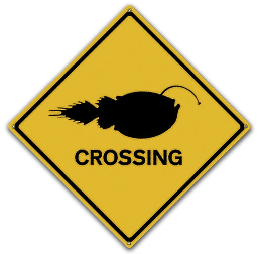 Angler Fish Crossing Art Rendering - Prints54.com