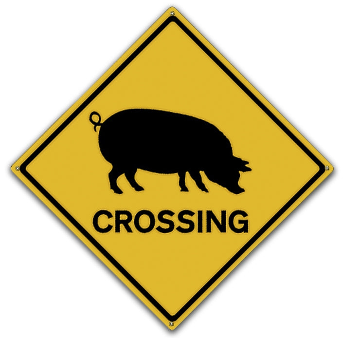 Pig Crossing Art Rendering - Prints54.com