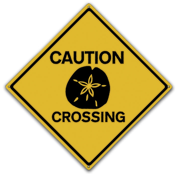 Sand Dollar Crossing Art Rendering - Prints54.com