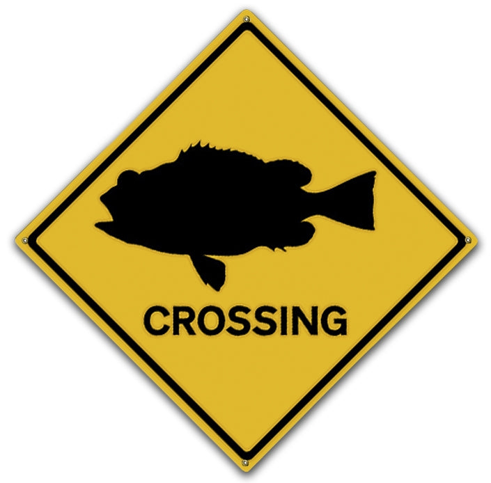 Sea Bass Crossing Art Rendering - Prints54.com