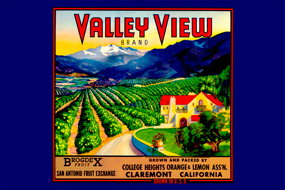 Valley View Art Rendering - Prints54.com