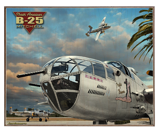 B-25 Mitchell Art Rendering - Prints54.com