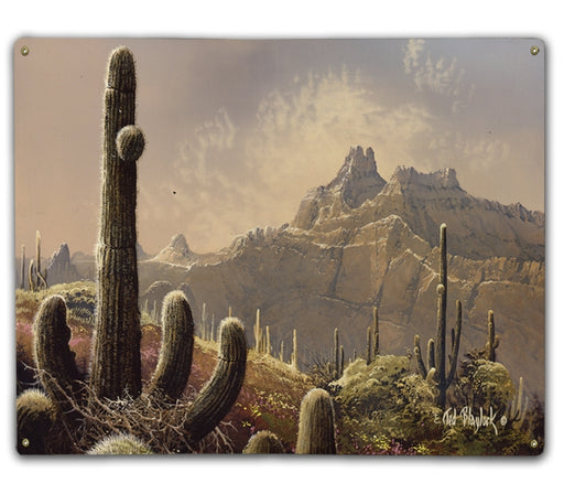 Desert View Art Rendering - Prints54.com