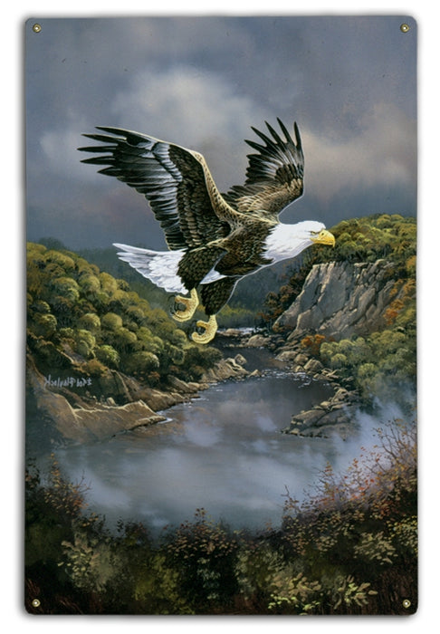 Franklin Eagle Art Rendering - Prints54.com