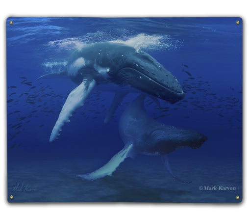 Humpback Whale Art Rendering - Prints54.com
