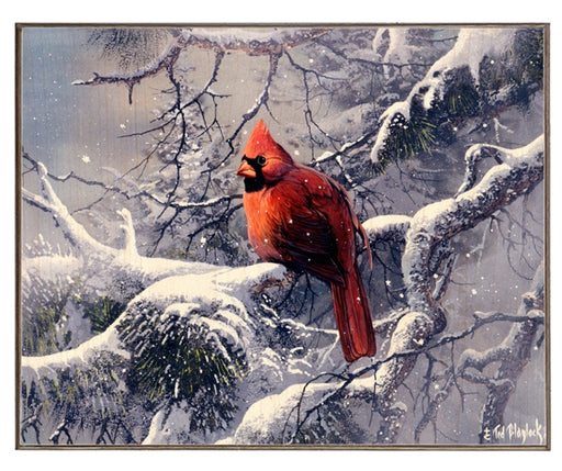 Male Cardinal Art Rendering - Prints54.com