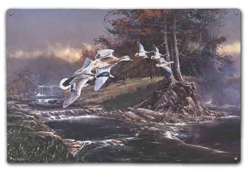 Mallards on Otter Creek Art Rendering - Prints54.com
