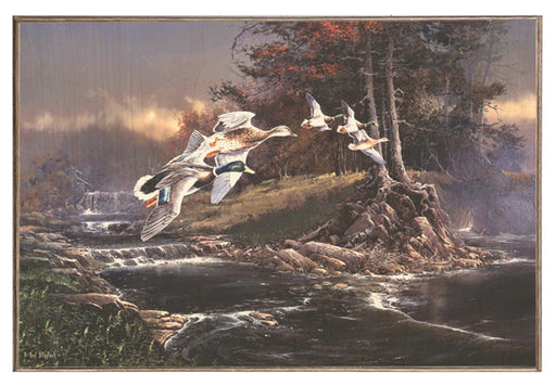 Mallards on Otter Creek Art Rendering - Prints54.com