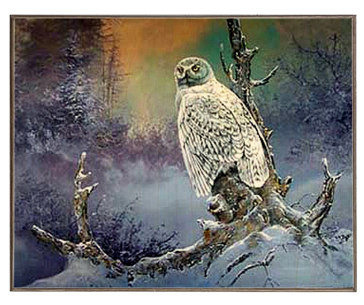 Winter Owl Wilderness Bird Of Prey Art Rendering - Prints54.com